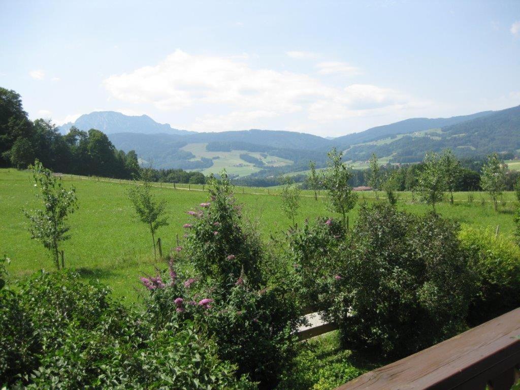 Obermoarhof Lägenhet Anger Exteriör bild